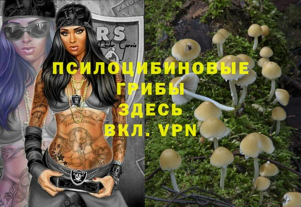 apvp Лабытнанги