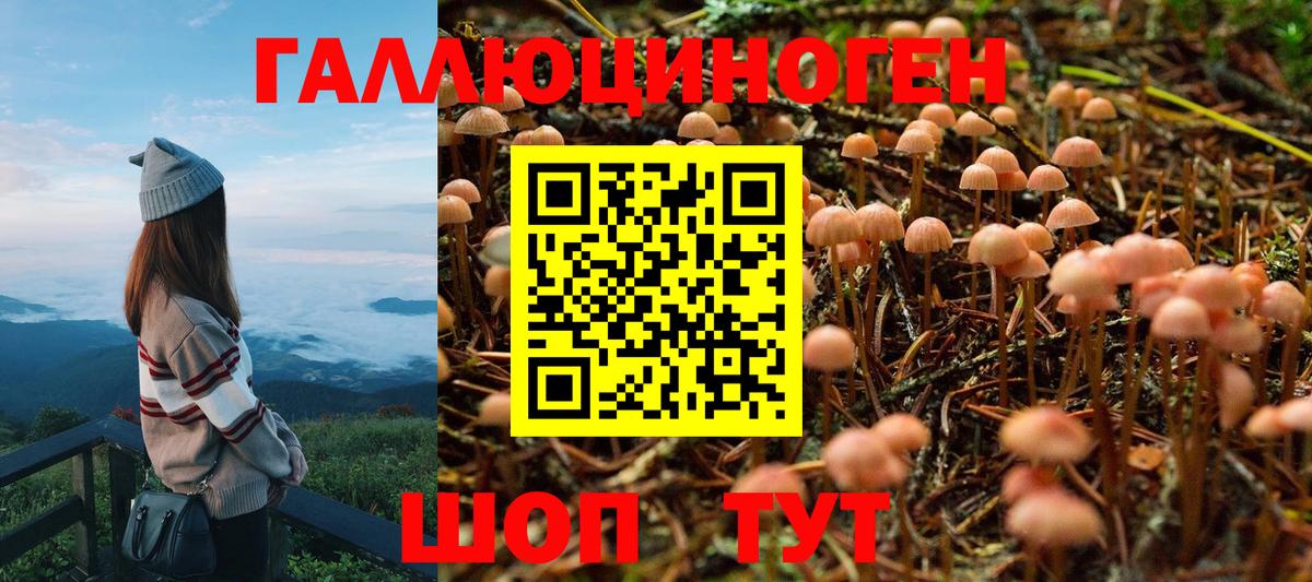 цены наркотик  Златоуст  Псилоцибиновые грибы ЛСД 