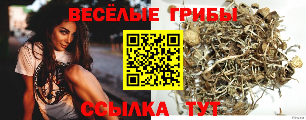 Галлюциногенные грибы MAGIC MUSHROOMS Златоуст